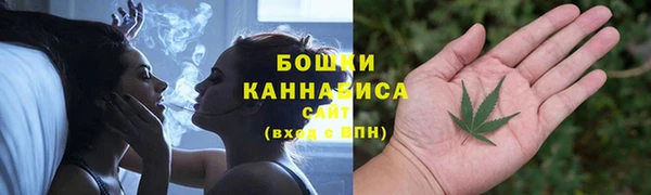 соль ск Арсеньев