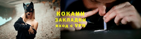соль ск Арсеньев
