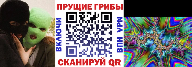 где найти наркотики  Тында  Галлюциногенные грибы мухоморы 